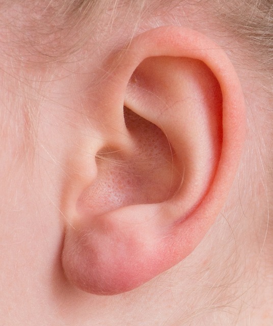 ear-2372090_640