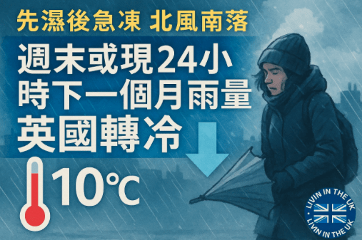 Screenshot 2025-11-12 at 17.54.16