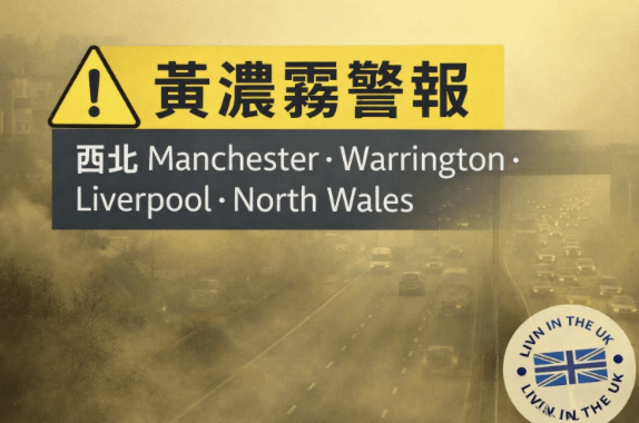 Screenshot 2026-01-15 at 22.24.43