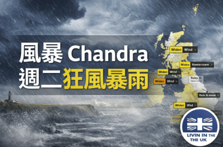 Screenshot 2026-01-26 at 11.44.01