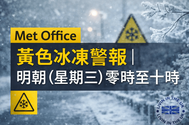 Screenshot 2026-01-27 at 11.54.32