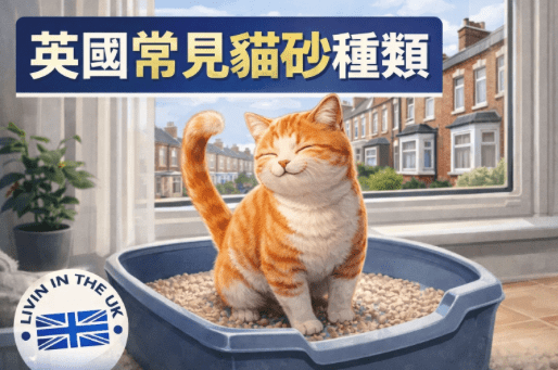 Screenshot 2026-02-05 at 12.13.29