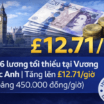 Screenshot 2026-02-07 at 15.14.49