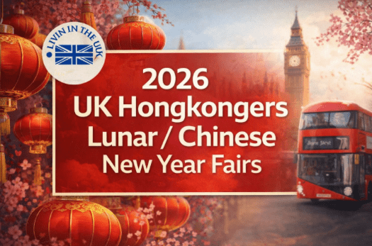 Screenshot 2026-02-11 at 11.39.18