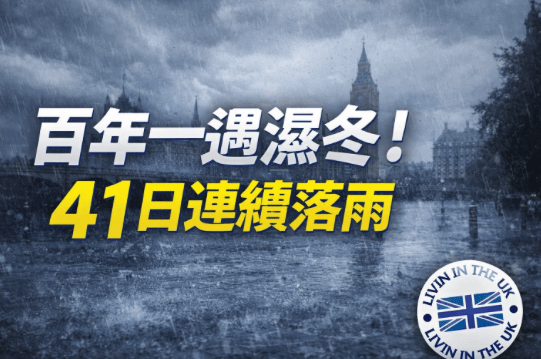 Screenshot 2026-02-11 at 14.13.46