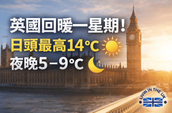 Screenshot 2026-02-21 at 15.24.48